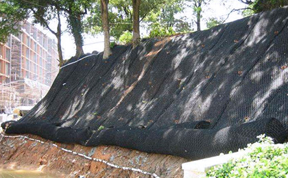 加筋麥克墊3.jpg